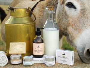 صابون حليب الحمار الفوائد وأفضل الأنواع الأصلية