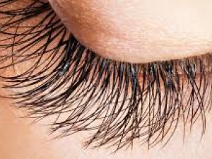 أفضل طريقة لتطويل وتكثيف الرموش والحواجب